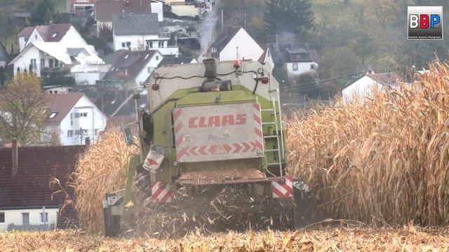 ? Claas Mega 218 ?, Maisernte, Winnenden, Germany, 13.11.2021. #1 смотреть онлайн