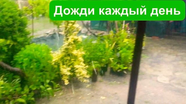 #ливнивзапорожье #дождливоелето2021 Нас заливают дожди. Я на даче смотреть онлайн