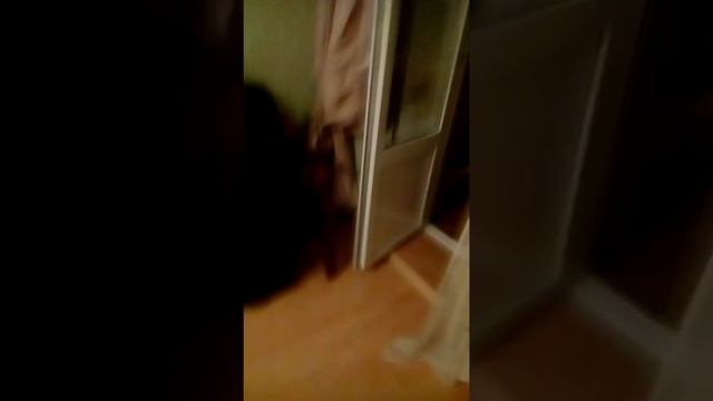 Рассказ о своей комнате! смотреть онлайн