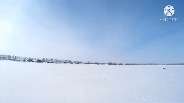 Охота закончилась, подсчёт выживших зайцев. 2021г