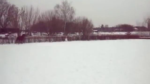 кони наши) смотреть онлайн