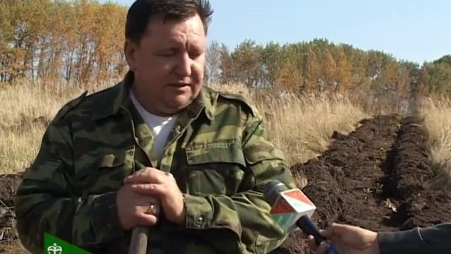 В Красногвардейском районе продолжается программа Зеленая столица. 08.10.2019 смотреть онлайн