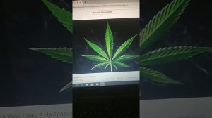 Сижу под травкой,слушаю сижу Я На Травке