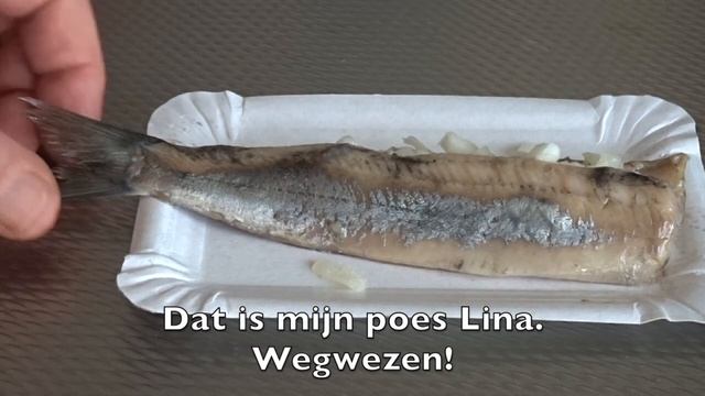 How to eat Dutch herring (Hollandse Nieuwe) Cook Planet #3 - Planet Michell (+ NL ondertiteling) смотреть онлайн