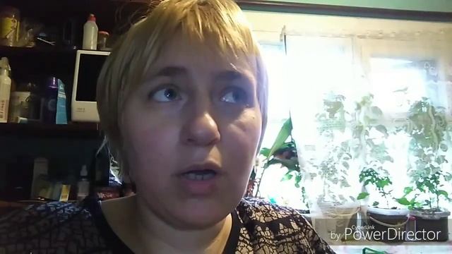 Тру Морковь, зачем завела канал. смотреть онлайн