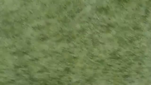 «Здоровый Мир» г. Красноярск - «ЦИВС» г. Ачинск 3 - 0 смотреть онлайн