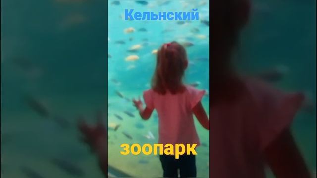 Кельнский зоопарк.#беженцывгермании #shortz смотреть онлайн