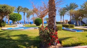 Рифы, как в Шарме! Serenity Beach 5* & пляж  Serenity Fun City 5*, обзор. Makadi bay, Египет