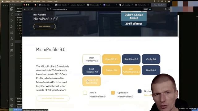 Structuring Java Applications CLI, monoliths, microservices and serverless by Adam Bien смотреть онлайн