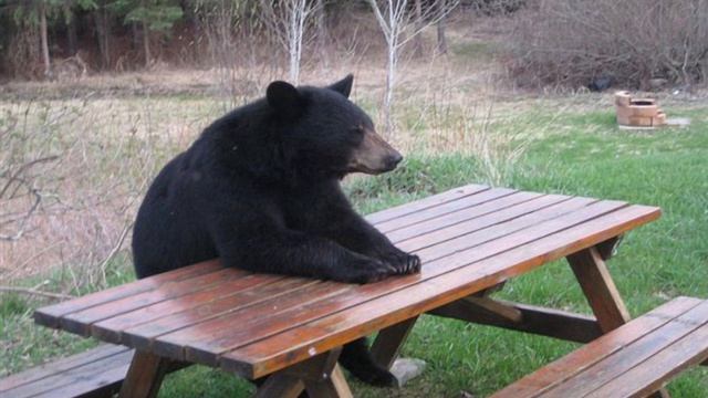 СПБ - Раковина смотреть онлайн