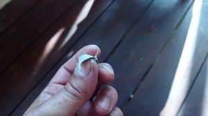 Краска Акватекс Сканди. Внешняя отделка дома своими руками. Часть 1.