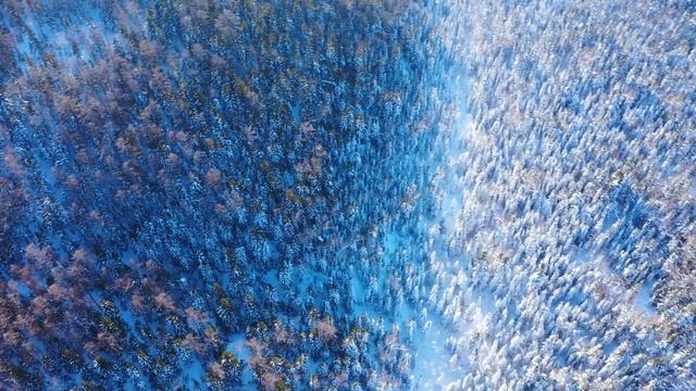 На лыжах по заснеженной тайге смотреть онлайн