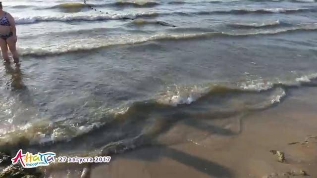 Анапа. Центральный пляж 27.08.2017 ВОДОРОСЛИ погода на море много людей смотреть онлайн