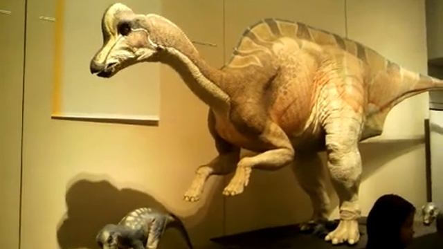 Hypacrosaurus.3GP смотреть онлайн