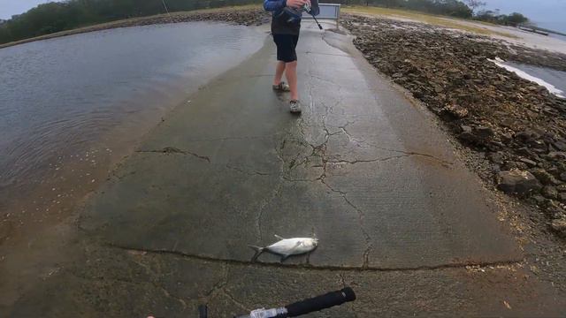 Fishing the sunshine coast pt 1 смотреть онлайн