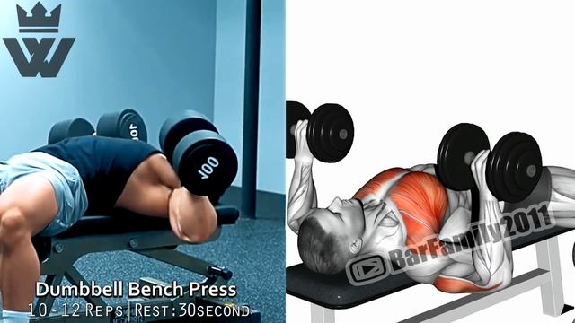 WORKOUT WITH DUMBBELLS | CHEST AND SHOULDERS смотреть онлайн