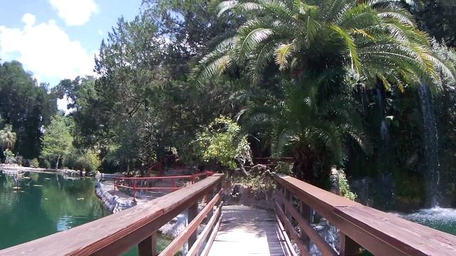 2020 Honda Super Cub 125 - Visiting Cedar Lake Woods & Gardens With My Honda Super Cub 125