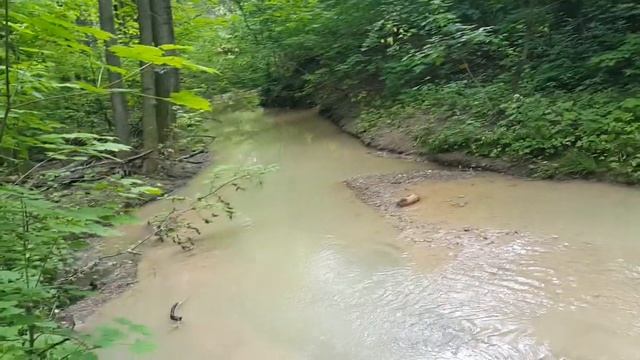 Почему мелеют реки?? смотреть онлайн