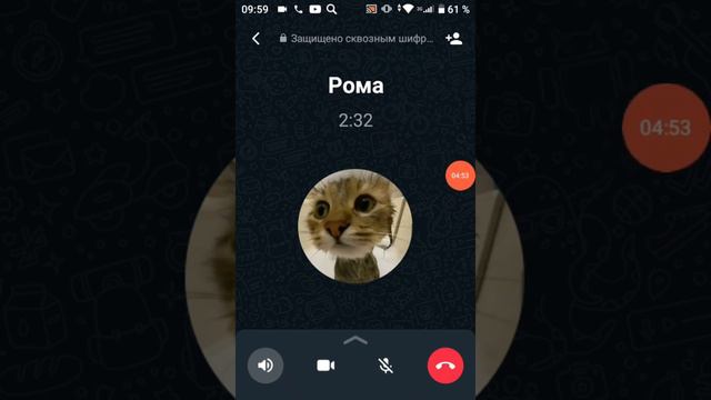 разоблачение Y Kot смотреть онлайн