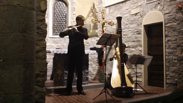 Donizetti: Sonata for flute and harpe. S. Zampetti, flute - M. Pettoni, harpe смотреть онлайн