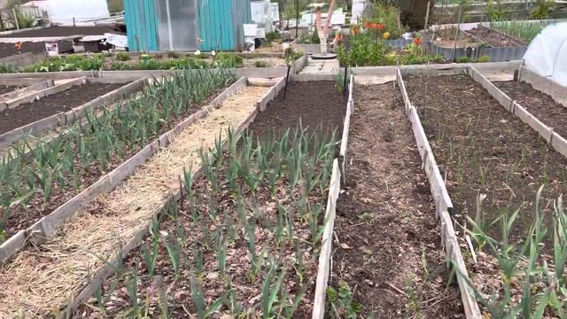 Стужа холод как зимой , 10 мая , вопрос ??? Ответ !!! смотреть онлайн