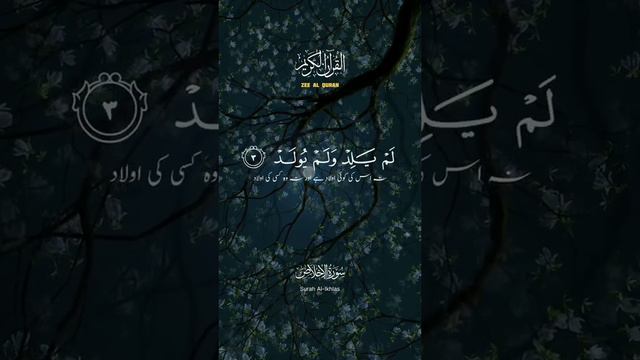 ihlas#islam смотреть онлайн