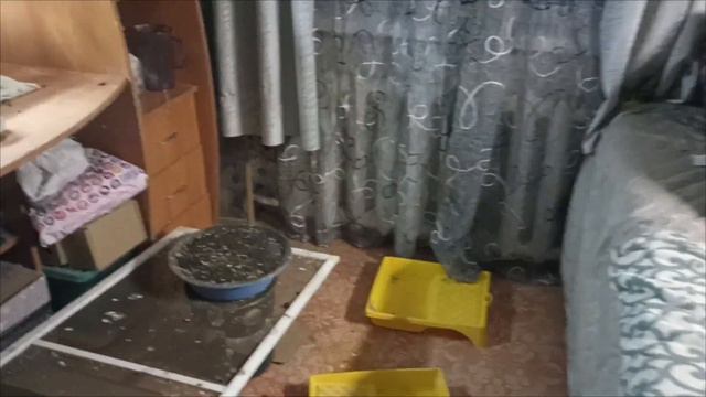 22.02.24. Утро, день и вечер... / Нужно имя смотреть онлайн
