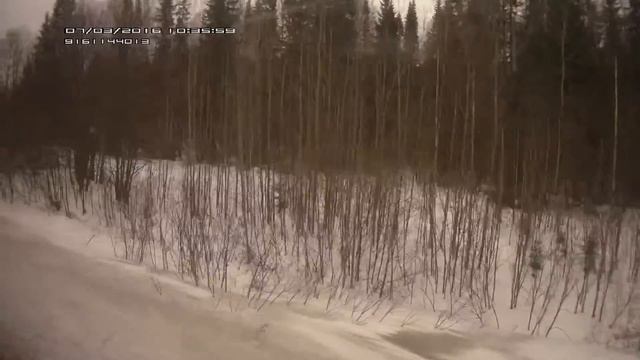 Россия из окна поезда Ижевск-Иркутск.Серия 7. смотреть онлайн