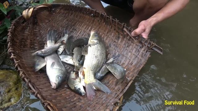 Top Fishing: Bushcraft Survival, Ability Harvest Many Fish, Catch A Lot Of Fish смотреть онлайн