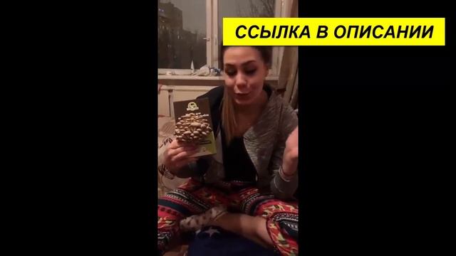 выращивание грибов грибная ферма смотреть онлайн
