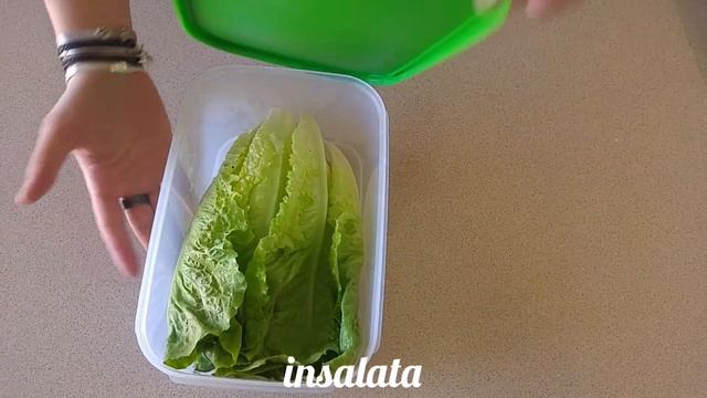 Ventsmart FridgeSmart Вентсмарт KlimaOase KlimaOasen-Set Контейнер «Умный холодильник» Tupperware смотреть онлайн