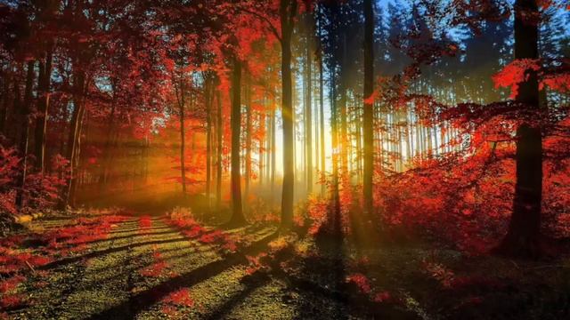 Vivaldi - 4 seasons - Вивальди 4 сезона - Времена года - полностью..mp4 смотреть онлайн