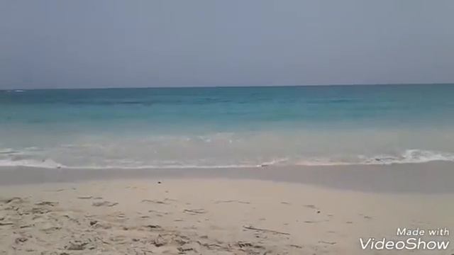 Влог на море катаюсь на лошади купаюсь в море и в бассейне смотреть онлайн