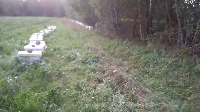 Шести рамочники в работе смотреть онлайн