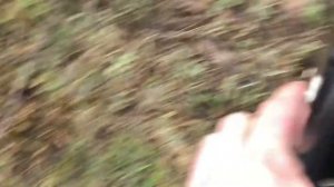 Сошник УПС из Текрон. Можно сеять в грязь! Не липнет