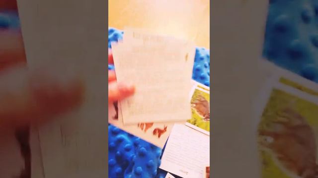 карточки Домана. как заниматься. смотреть онлайн