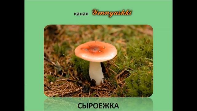 Изучаем грибы Названия грибов Стихи про грибы для детей Обучающее видео для малышей смотреть онлайн