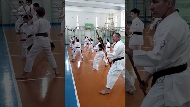 Ryukyu Kobudo seminar in Neftekamsk Bashkortostan / nunchaku kata and bo kun kata training смотреть онлайн
