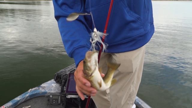 Pro Bass Anglers React to Lowrance Active Target смотреть онлайн