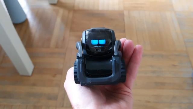 Anki Vector Is Angry!!! Робот злится, что не отпускаю ?