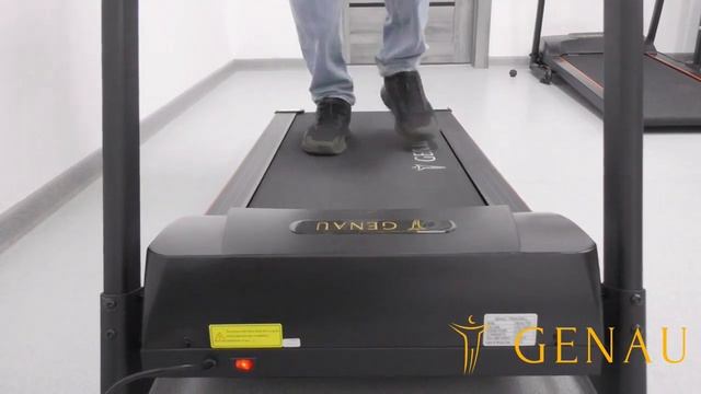 5 Правил Эксплуатации Домашней Беговой Дорожки Genau смотреть онлайн