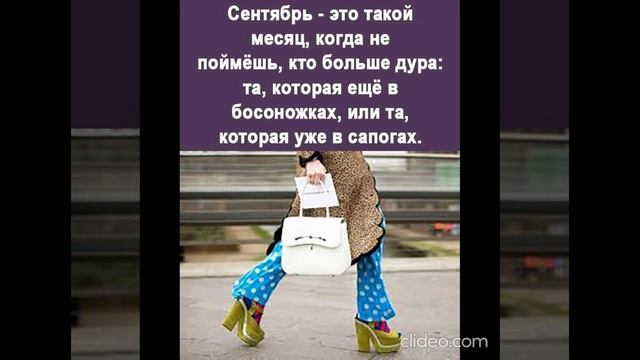 днём 08.09 4 смотреть онлайн