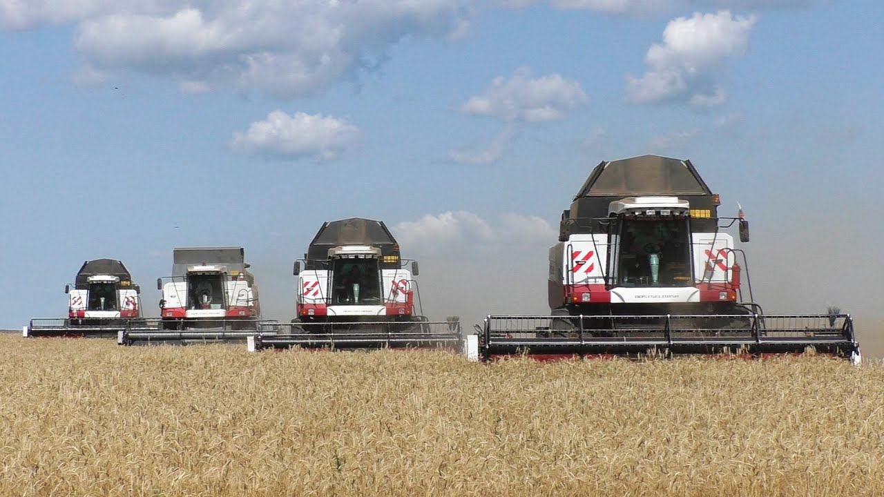 КРАСИВО ИДУТ! Комбайны ACROS на уборке пшеницы! смотреть онлайн