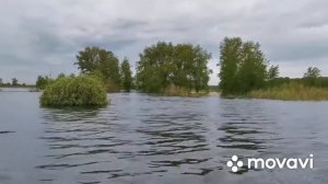 Обкатка лодочного мотора Suzuki DF20A