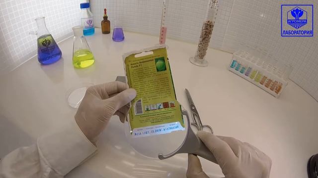 Капуста белокочанная Ринда. СеменаАлтая смотреть онлайн