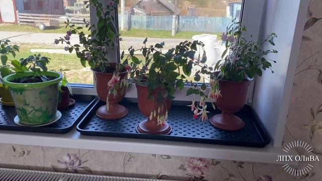 Утро началось с  цветов