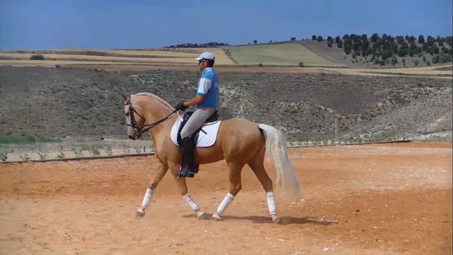 Flamenco caballo perla o palomino 3/3 смотреть онлайн