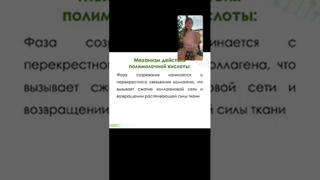 Plla Вебинар смотреть онлайн