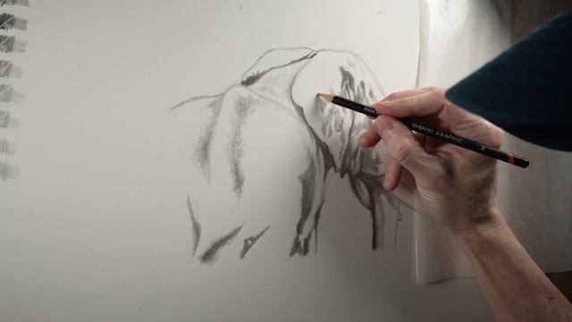 Derwent Graphite Pencils - Are They Any Good? | Test and Review смотреть онлайн