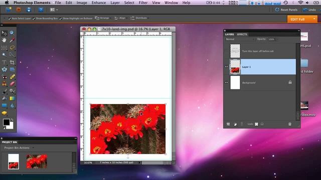 Photoshop Elements Photo Note Card Printing & Setup Mac HP printers Horizontal Image смотреть онлайн